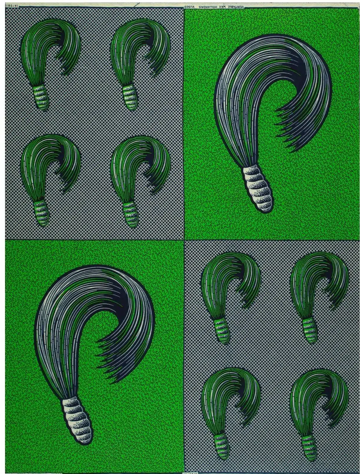 Lumière d'Idées ou queue de cheval